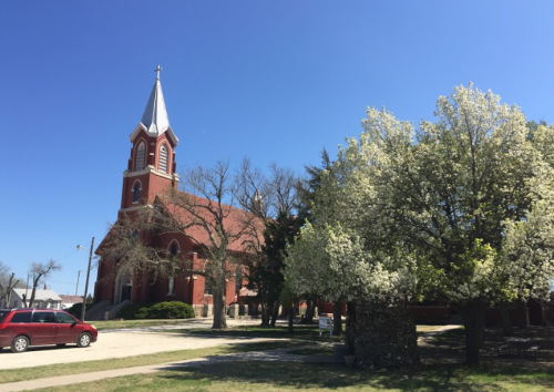 A red brick church with a tall steeple, surrounded by blooming trees and a clear blue sky.