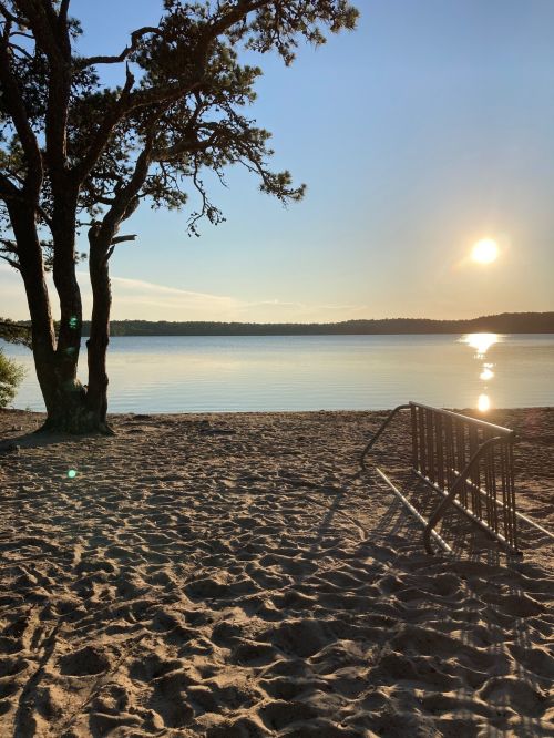 A serene beach scene at sunset, featuring a tree, calm water, and a sandy shore with a railing in the foreground.