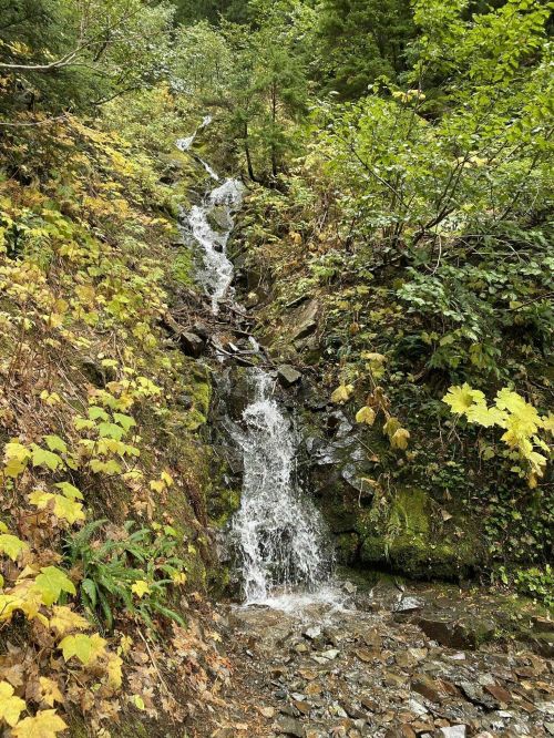 A small waterfall cascades down a rocky slope, surrounded by lush green foliage and autumn leaves.