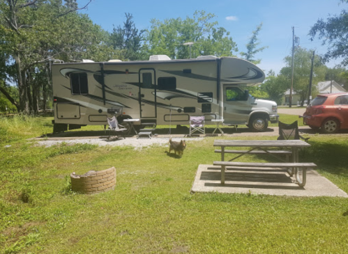 A parked RV in a grassy area with a picnic table, chairs, and a dog nearby on a sunny day.