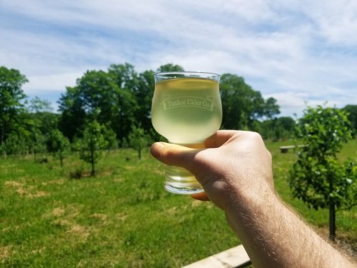 A hand holds a glass of cider against a sunny outdoor backdrop with trees and greenery.