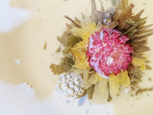 A close-up of colorful flowers submerged in clear water, with bubbles rising around them.