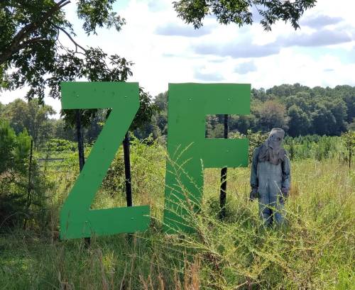 A large green "ZF" sign stands in a field, with a scarecrow figure nearby among tall grass and trees.