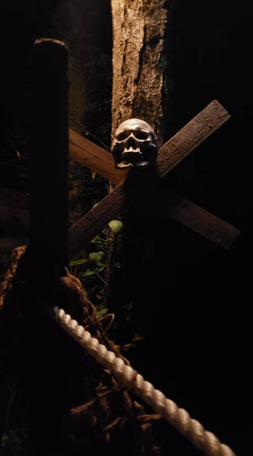 A dark scene featuring a skull mounted on a wooden cross, with a rope in the foreground and trees in the background.