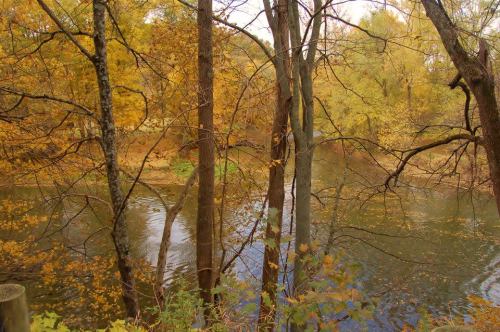 A serene river scene surrounded by trees with autumn foliage, reflecting the colorful leaves on the water's surface.