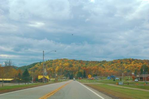 A scenic road lined with trees in autumn colors, leading towards a hilly landscape under a cloudy sky.