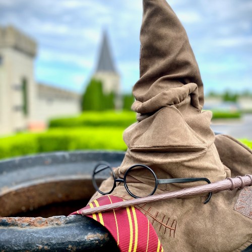 A sorting hat with glasses and a wand rests on a stone pot, with a blurred castle in the background.
