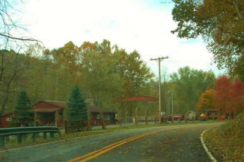 A winding road leads through a forested area with autumn foliage and rustic buildings in the background.