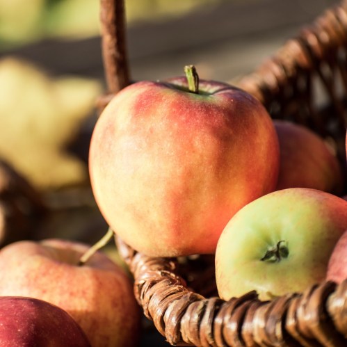 A close-up of red and green apples in a woven basket, with a blurred natural background.