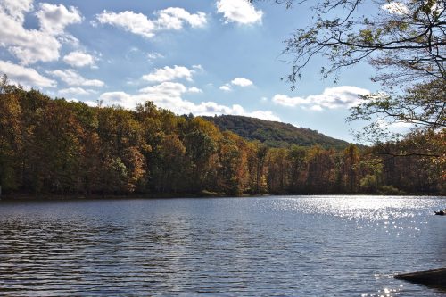 A serene lake surrounded by colorful autumn trees under a bright blue sky with fluffy clouds.