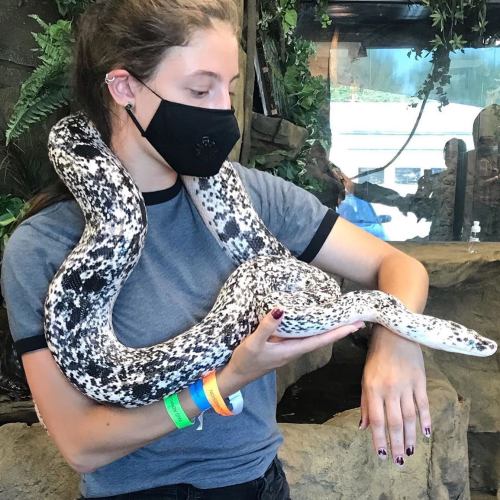 A person wearing a mask holds a large, patterned snake in a naturalistic setting.