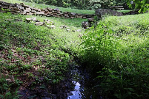 A serene natural scene featuring a small stream surrounded by lush green grass and stone walls in a wooded area.