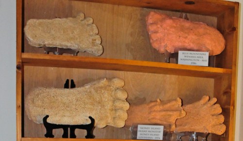 Display of large, textured foot-shaped casts on a wooden shelf, labeled with locations and dates.