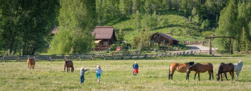 Children play in a grassy field with horses, surrounded by trees and rustic buildings in a serene countryside setting.