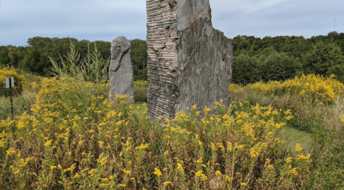 Two large stone structures surrounded by vibrant yellow wildflowers and green foliage under a cloudy sky.