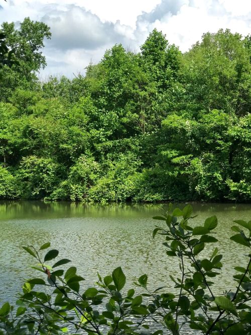 Lush green trees surround a calm lake under a partly cloudy sky. Reflections shimmer on the water's surface.