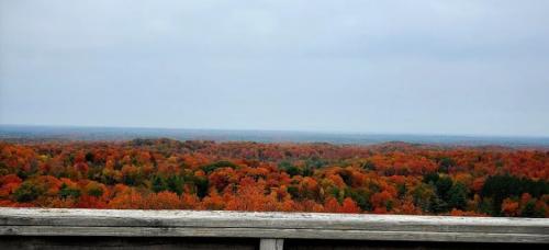A panoramic view of a vibrant autumn landscape with trees in shades of orange and red under a cloudy sky.