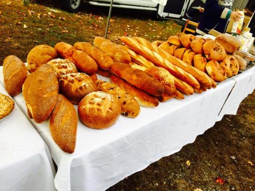 A variety of freshly baked breads displayed on a table, including loaves and baguettes, set outdoors.