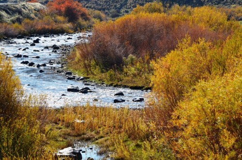 A serene river flows through vibrant autumn foliage, with rocks scattered along the water's edge.