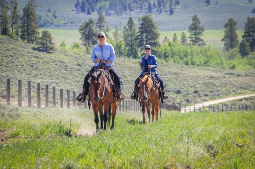 Two riders on horseback traverse a grassy trail surrounded by trees and hills on a sunny day.