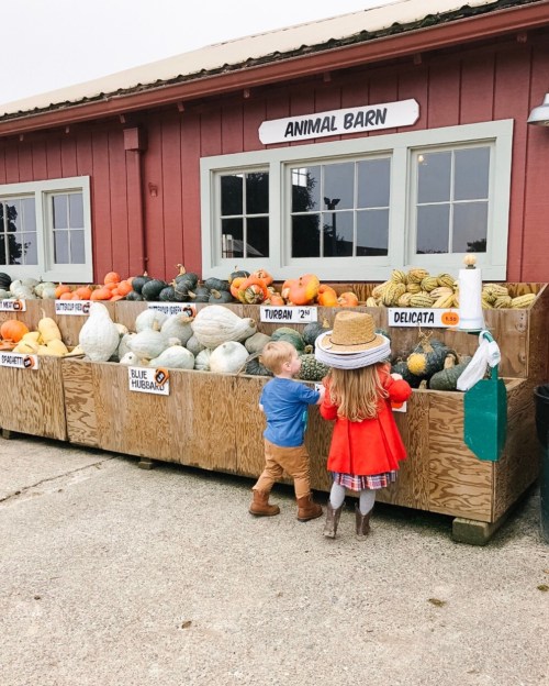 Two children in front of a wooden stand filled with various pumpkins and gourds, with a barn in the background.