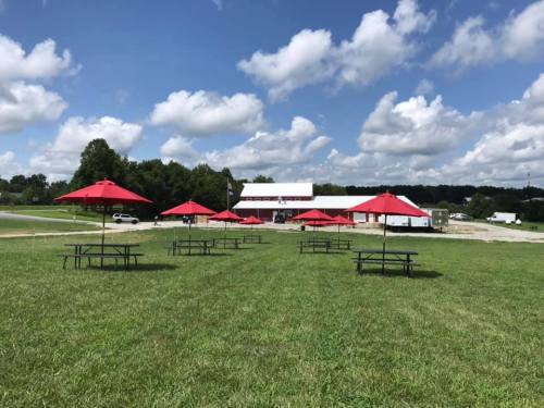 A grassy area with several picnic tables and red umbrellas, with a building and trees in the background under a blue sky.