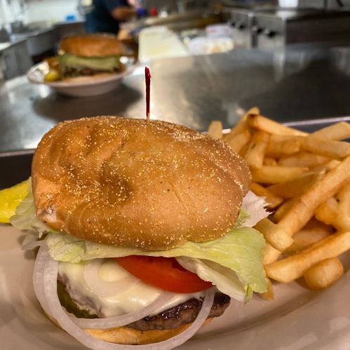 A close-up of a burger with lettuce, tomato, and onion, served with fries on a plate.