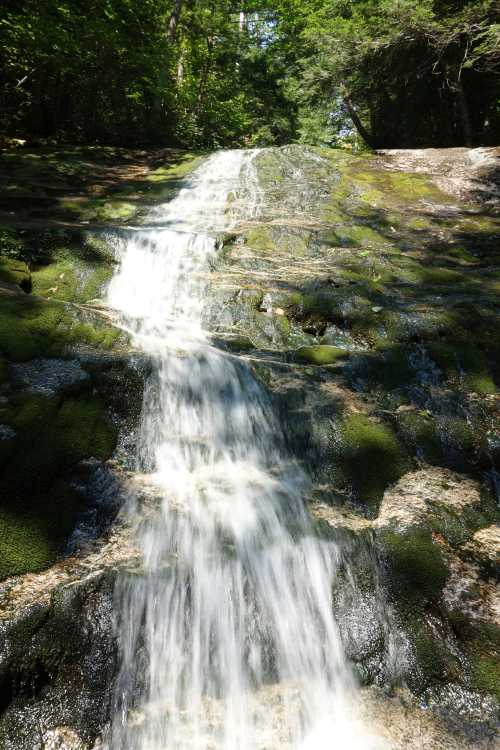 A serene waterfall cascading over moss-covered rocks in a lush green forest.