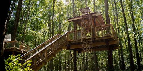 A wooden treehouse elevated among tall green trees, featuring a staircase and a unique design.