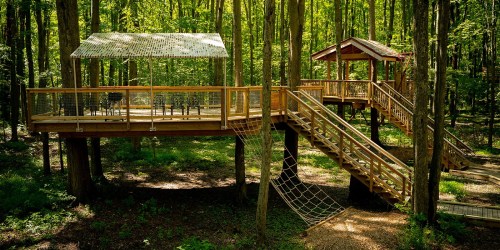 A wooden treehouse with a deck and stairs, surrounded by lush green trees in a forest setting.