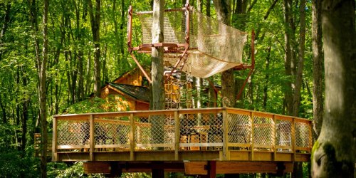 A wooden treehouse platform surrounded by lush green trees, featuring a netted climbing area above.