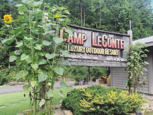 Sign for Camp LeConte, a luxury outdoor resort, surrounded by tall sunflowers and greenery.