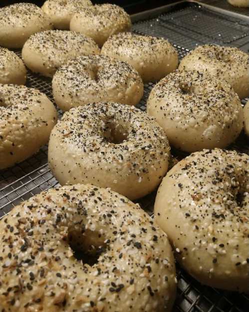 Freshly baked bagels topped with poppy and sesame seeds, cooling on a wire rack.