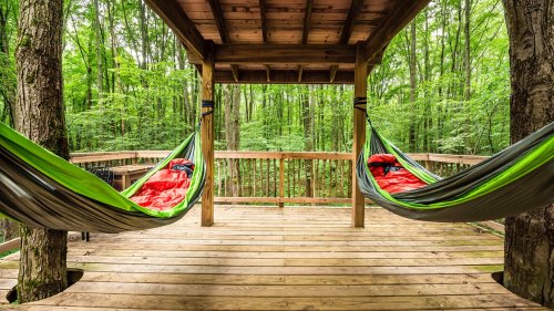 Two colorful hammocks are suspended on a wooden deck surrounded by lush green trees in a serene forest setting.