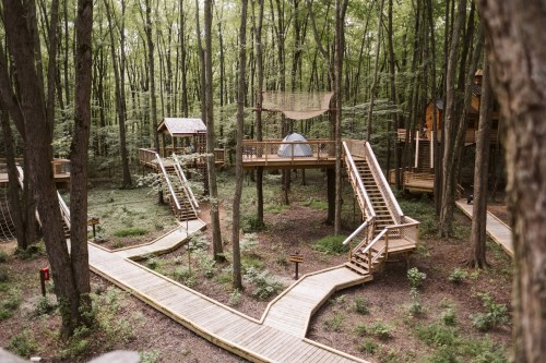 A wooden treehouse village in a lush forest, featuring elevated walkways and multiple treehouses among the trees.