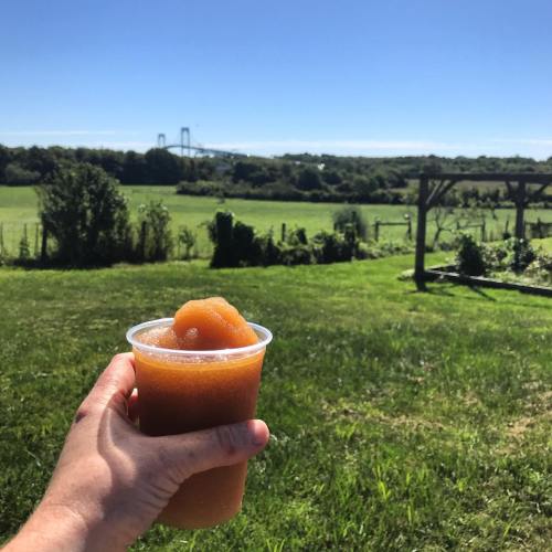 A hand holds a slushy drink in a cup, with a scenic view of green fields and a bridge in the background.