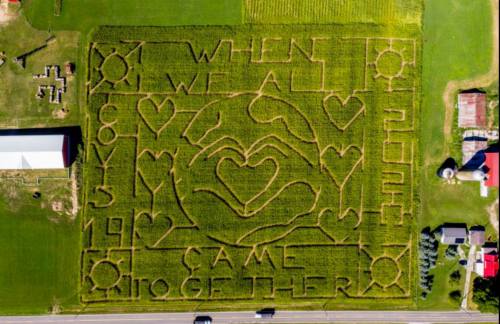 Aerial view of a corn maze with the phrase "When We All Came Together" and heart designs carved into the crops.
