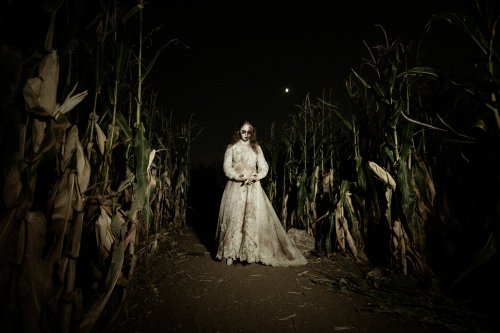 A figure in a tattered white dress stands in a dark cornfield, surrounded by tall corn stalks under a night sky.