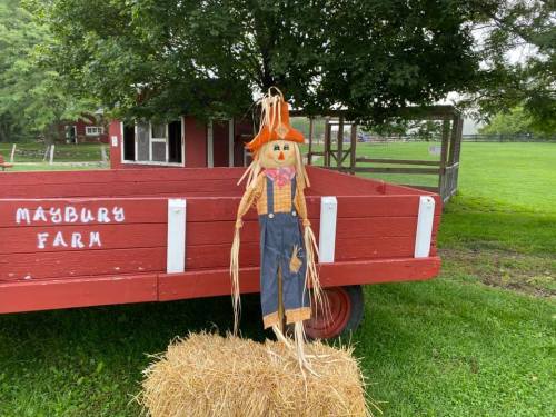 A scarecrow in overalls stands beside a hay bale in front of a red wagon at Maybury Farm, surrounded by greenery.