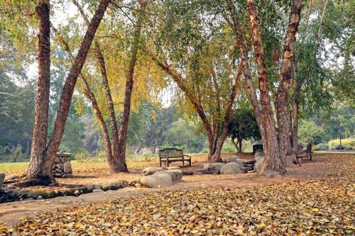 A serene park scene with benches under trees, surrounded by fallen leaves and a small stream.