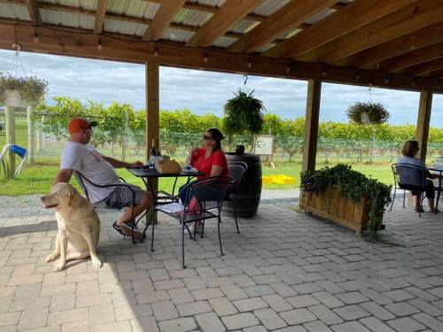 A couple sits at a table under a wooden patio, enjoying drinks with a dog nearby and vineyards in the background.