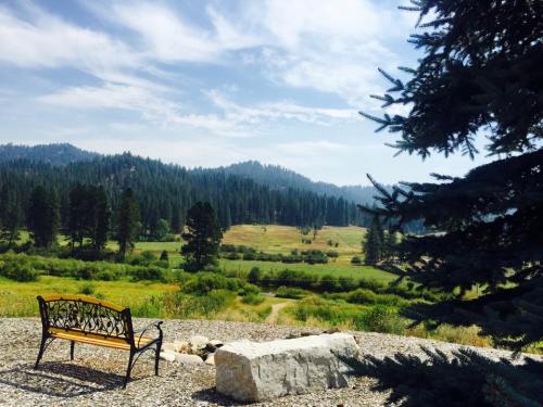A scenic view of a meadow surrounded by trees, with a bench in the foreground under a clear blue sky.