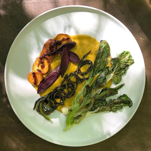A white plate featuring a colorful arrangement of roasted vegetables and a smooth sauce, set against a natural background.