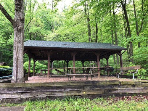 A wooden pavilion with a green roof surrounded by trees in a lush, green forest. Picnic tables are visible underneath.