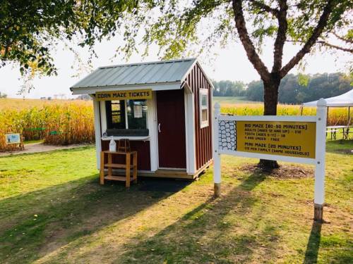 A small ticket booth for a corn maze, surrounded by greenery and a sign detailing maze options and prices.