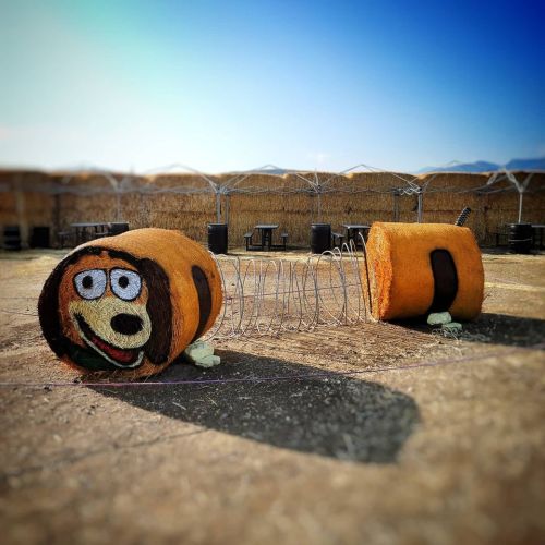 A whimsical sculpture of a cartoonish dog made from hay bales, set in an open field with a blue sky.