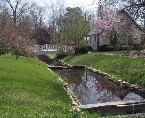 A serene scene featuring a small bridge over a reflective stream, surrounded by greenery and blooming trees.