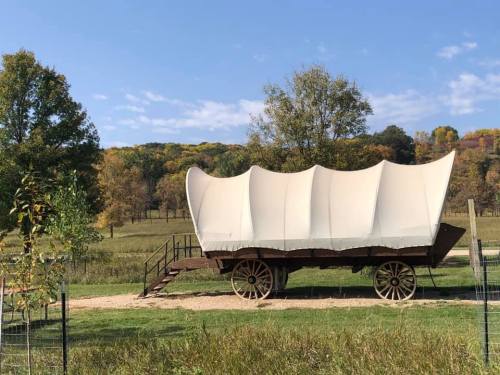 A large covered wagon on a grassy area, surrounded by trees with autumn foliage under a clear blue sky.