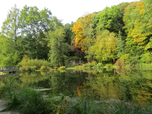 A serene pond surrounded by lush greenery and autumn-colored trees, reflecting the vibrant landscape.