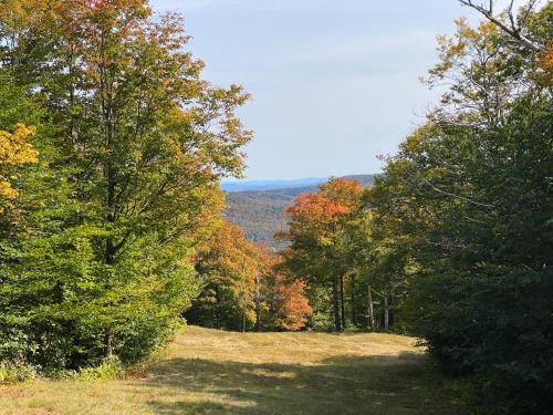 A scenic view of a forested landscape with colorful autumn foliage and distant mountains under a clear sky.
